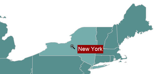 New York Life Settlements